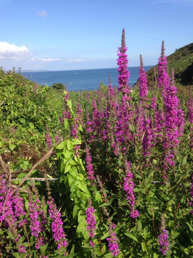 Kerryanna Country House Bed And Breakfast Mevagissey Eksteriør billede